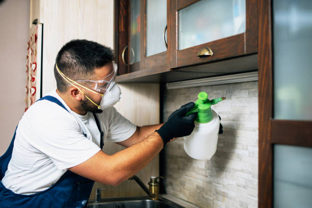 Best Flea Control Services  in Louisburg, NC
