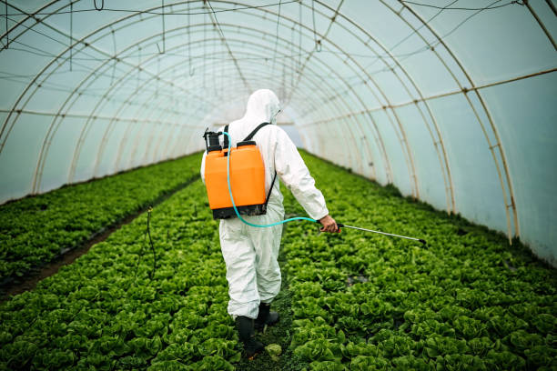 Best Pest Prevention Services  in Louisburg, NC