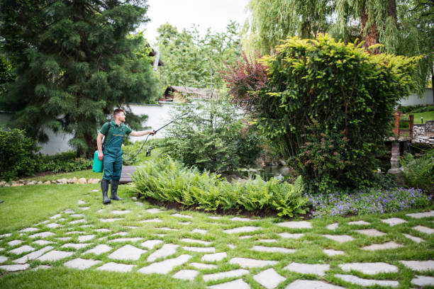 Best Wasp Removal Services  in Louisburg, NC