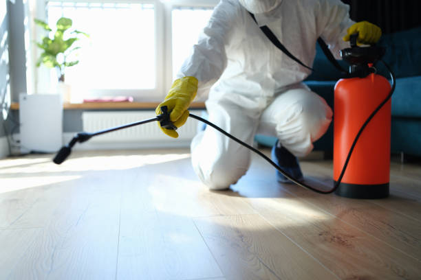 Best Best Pest Control Companies  in Louisburg, NC