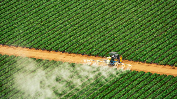 Best Commercial Pest Control Services  in Louisburg, NC