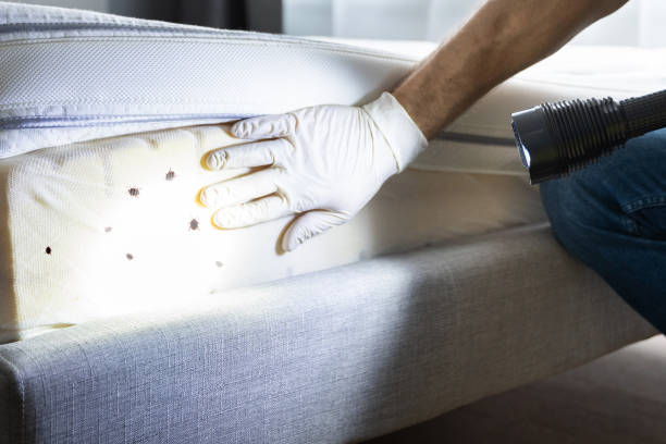 Best Best Pest Control Companies  in Louisburg, NC