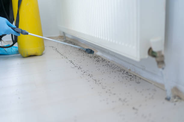 Best Cockroach Control Services  in Louisburg, NC